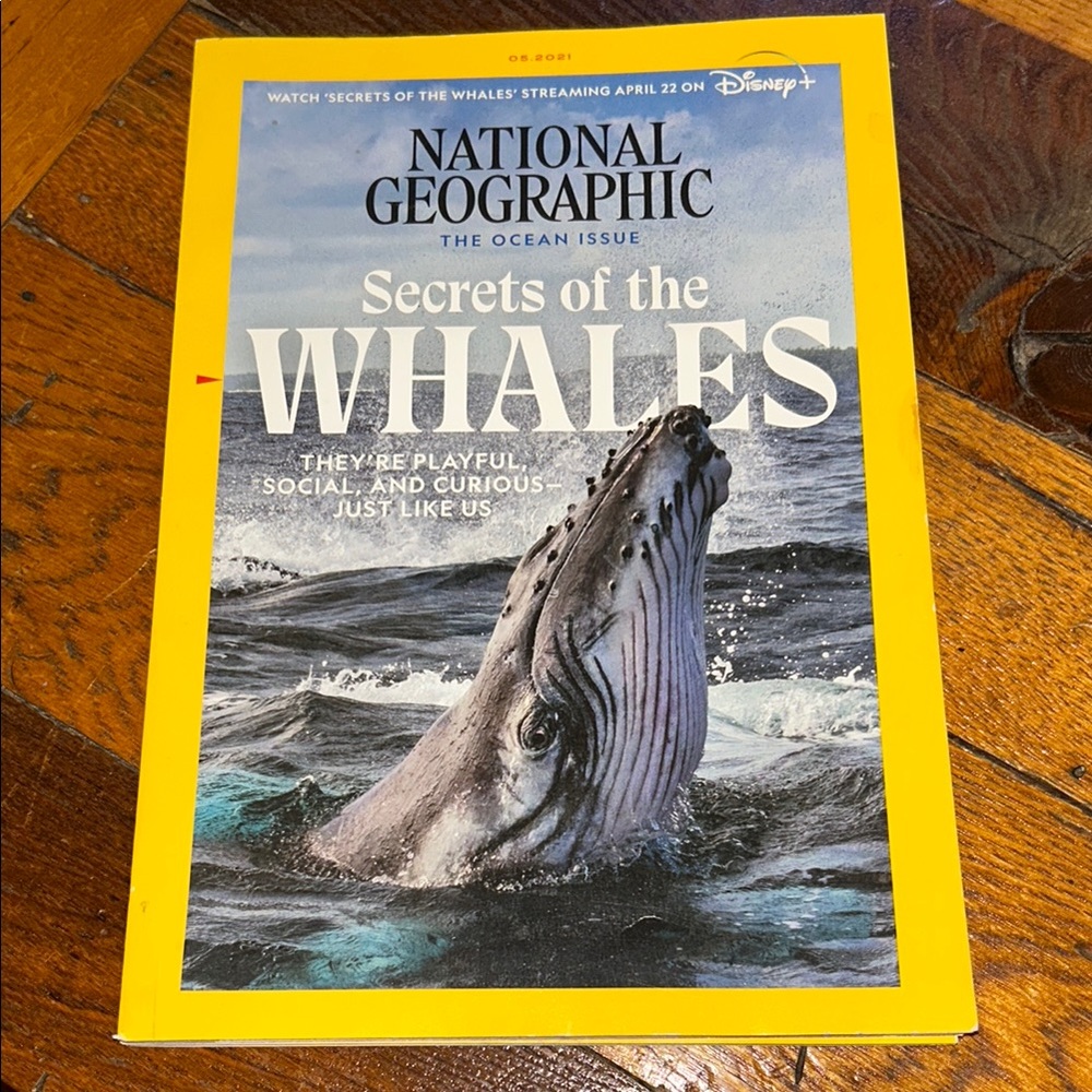 National Geographic 'Secrets of the Whales' Magazine